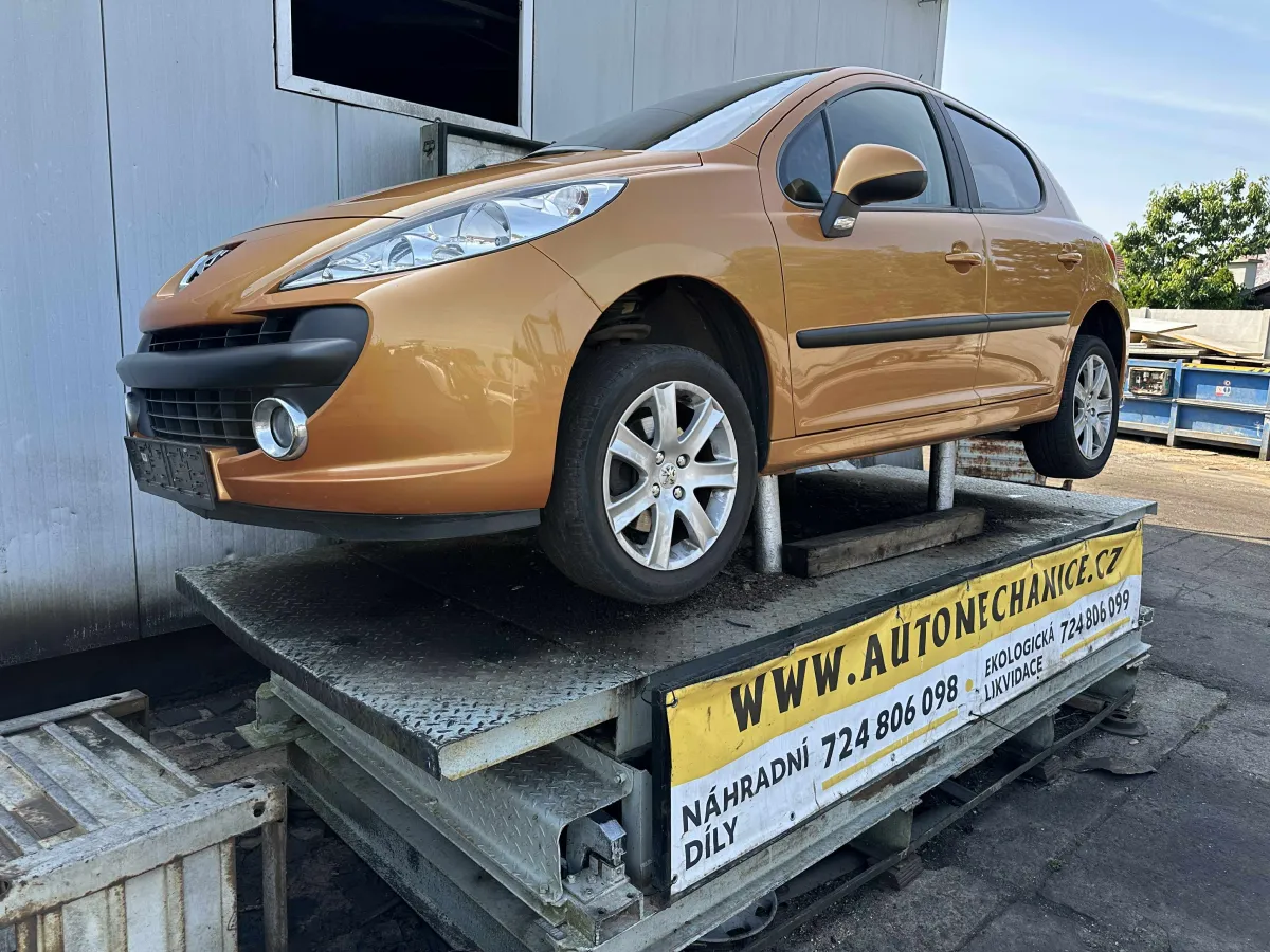 Peugeot 207, 2007