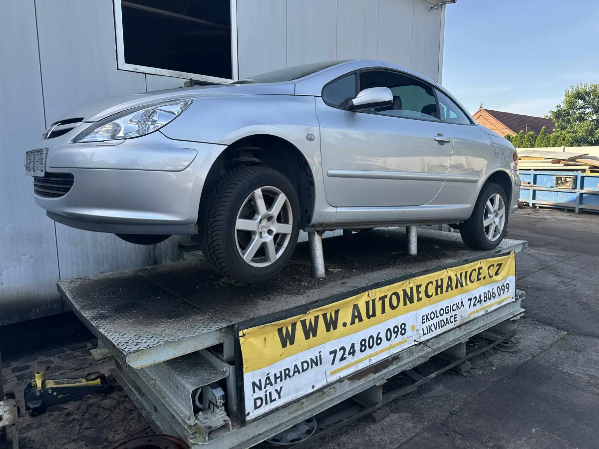 Peugeot 307 RFN, 2004