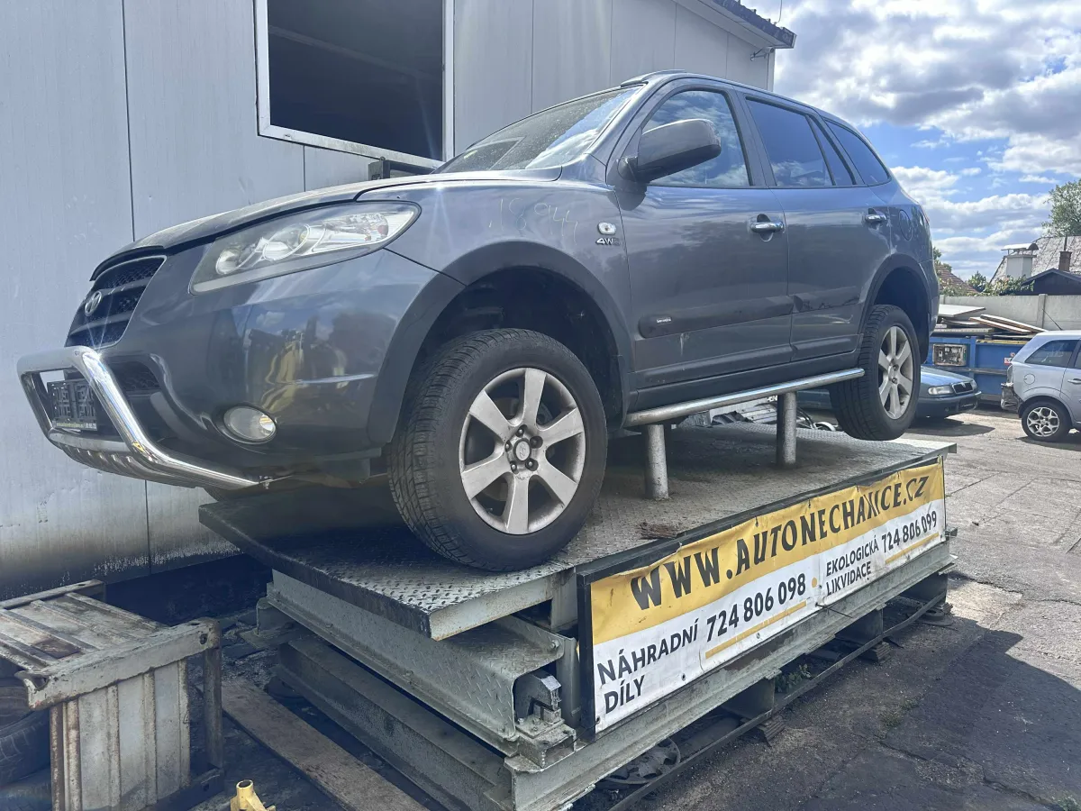 Hyundai Santa Fe D4EB, 2007