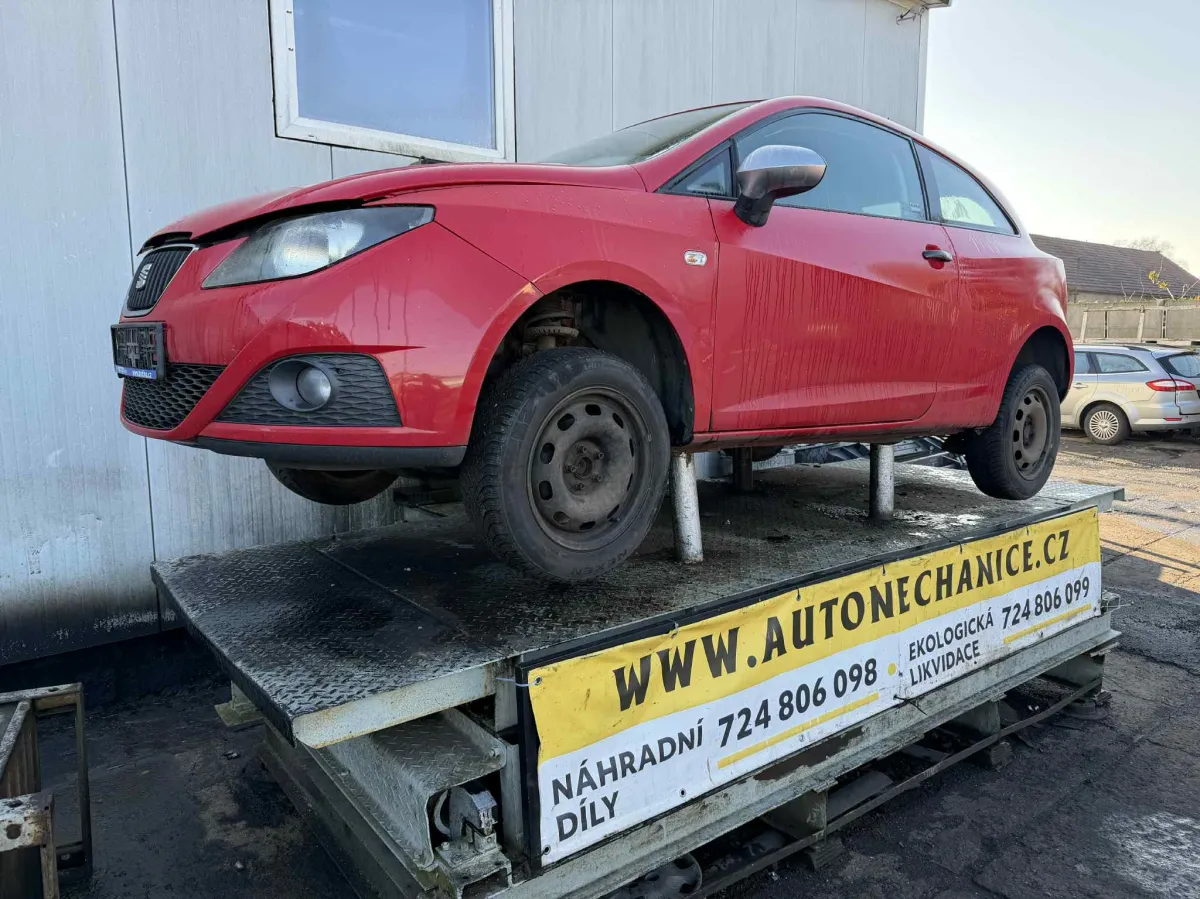 Seat Ibiza BZG, 2009