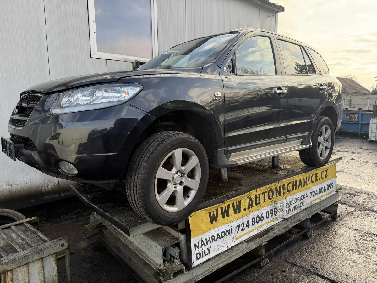 Hyundai Santa Fe D4EB, 2007